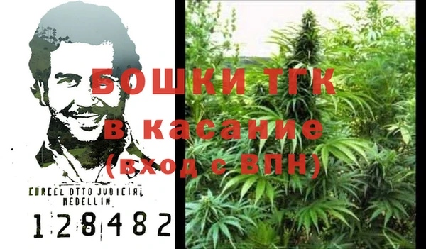 ешки Каменногорск