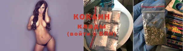ешки Каменногорск