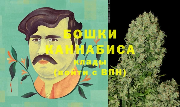 ешки Каменногорск