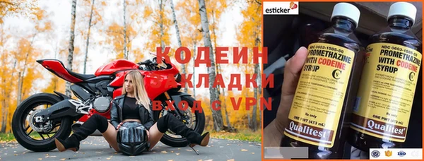 ешки Каменногорск