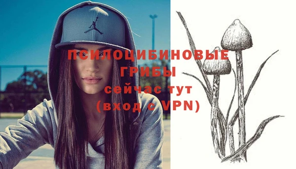 круглые Каменка
