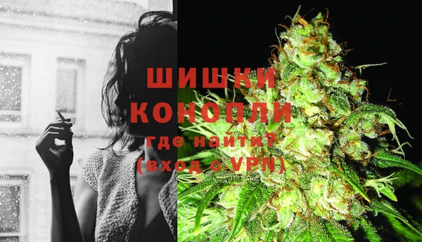 ешки Каменногорск