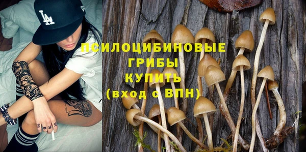 ешки Каменногорск